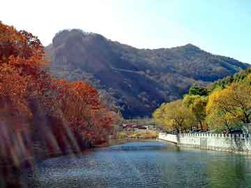 管家婆黑白马报图库，永生之巅峰之路